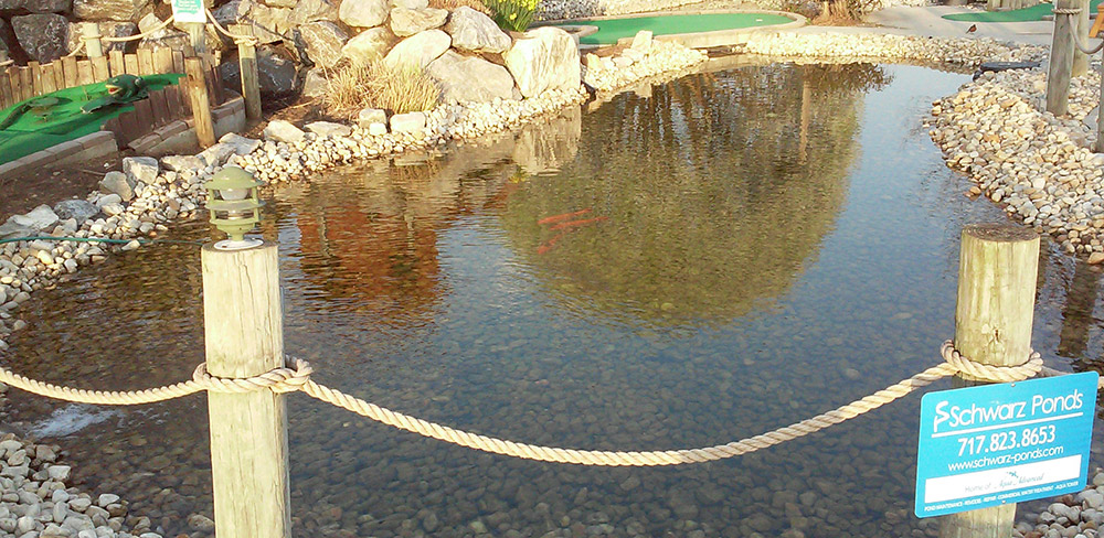 Pond maintenance and design